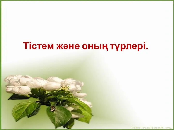 Тістем және оның түрлері.