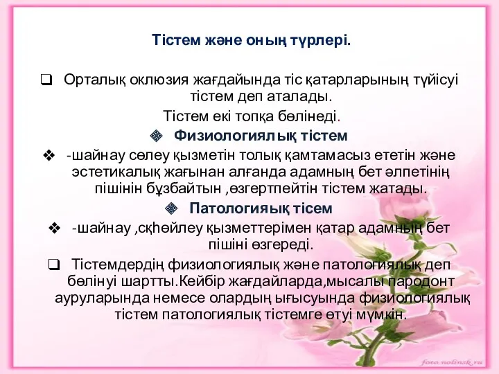 Тістем және оның түрлері. Орталық оклюзия жағдайында тіс қатарларының түйісуі