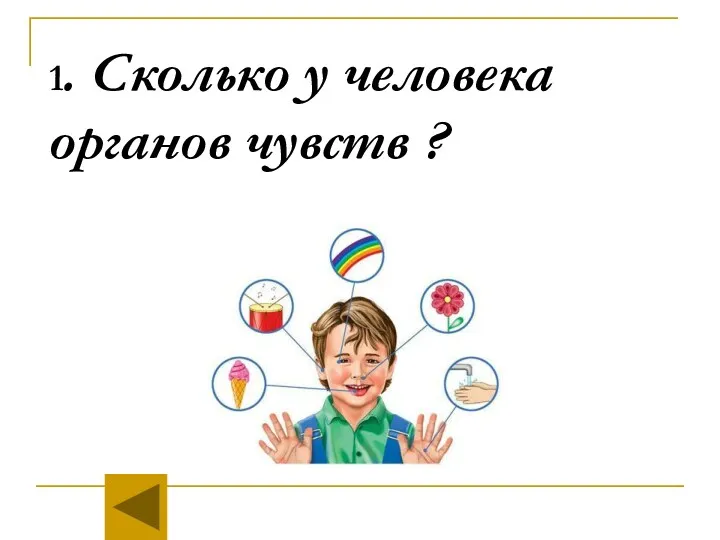 1. Сколько у человека органов чувств ?