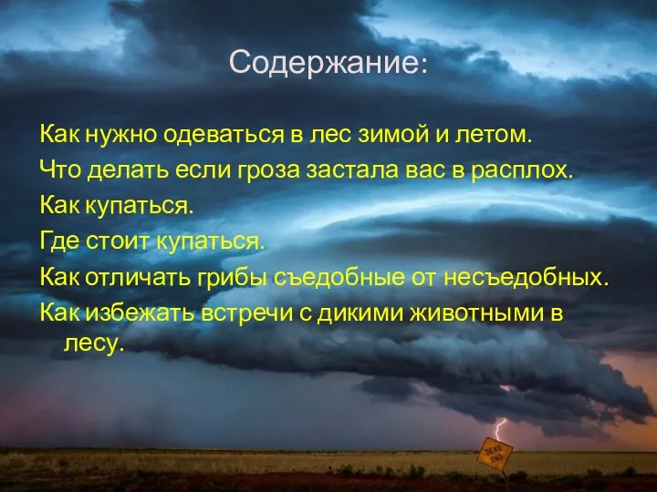 Содержание: Как нужно одеваться в лес зимой и летом. Что