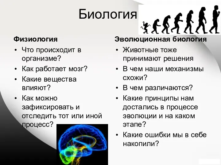 Биология Физиология Что происходит в организме? Как работает мозг? Какие