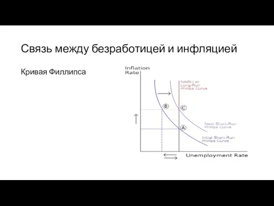 Связь между безработицей и инфляцией Кривая Филлипса