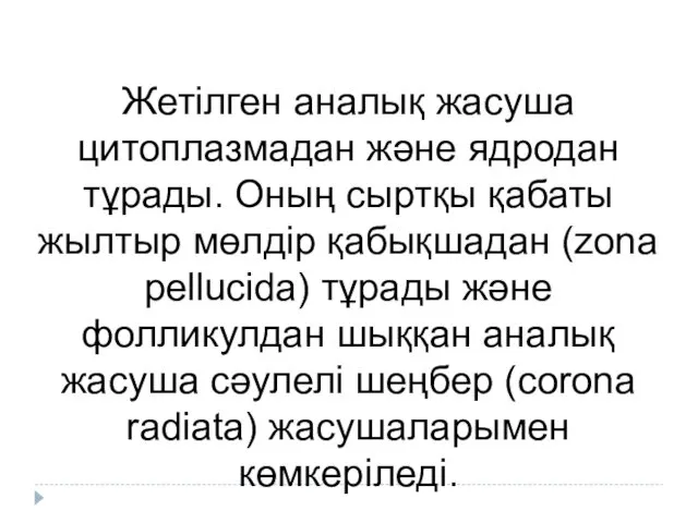 Жетілген аналық жасуша цитоплазмадан және ядродан тұрады. Оның сыртқы қабаты