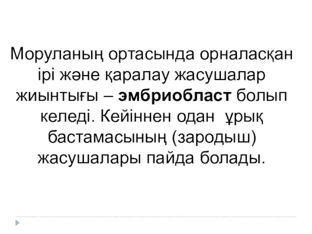 Моруланың ортасында орналасқан ірі және қаралау жасушалар жиынтығы – эмбриобласт