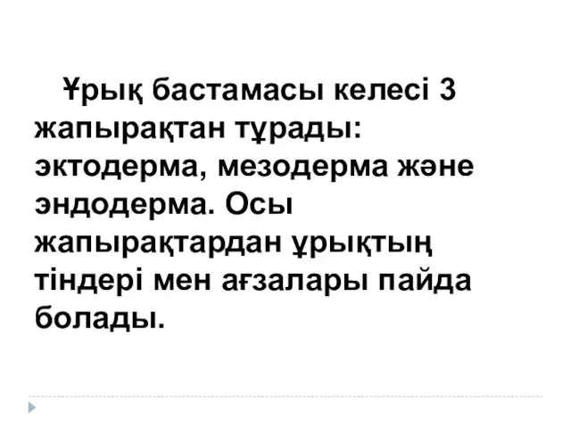 Ұрық бастамасы келесі 3 жапырақтан тұрады: эктодерма, мезодерма және эндодерма.