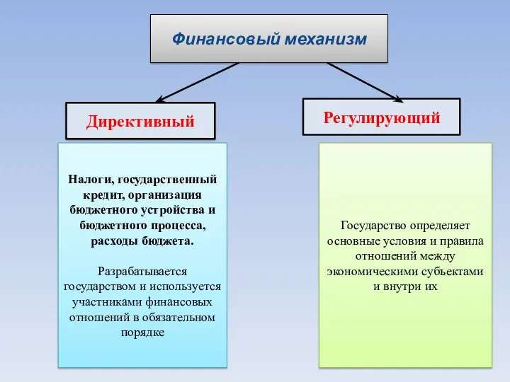 Финансовый механизм Директивный Регулирующий Государство определяет основные условия и правила