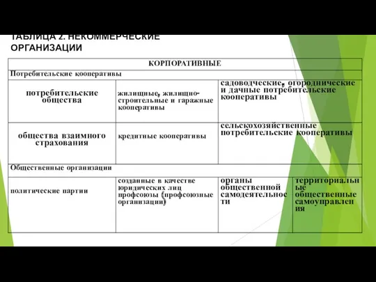 ТАБЛИЦА 2. НЕКОММЕРЧЕСКИЕ ОРГАНИЗАЦИИ