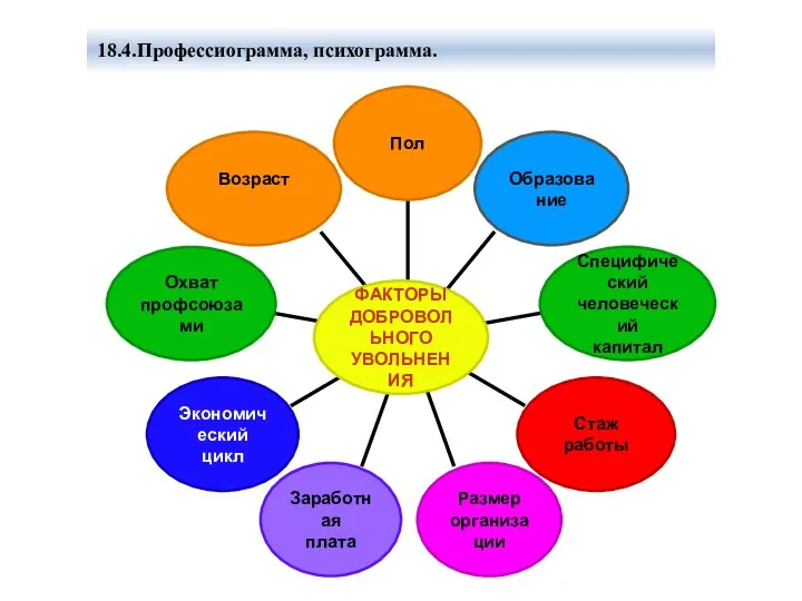18.4.Профессиограмма, психограмма.