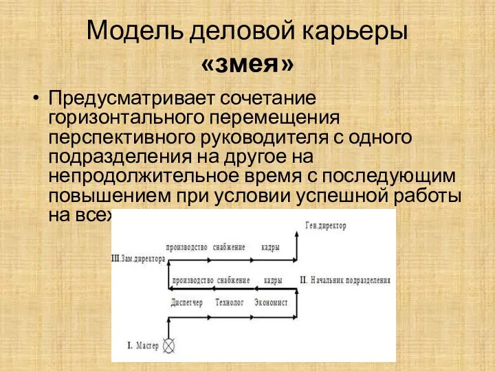 Модель деловой карьеры «змея» Предусматривает сочетание горизонтального перемещения перспективного руководителя