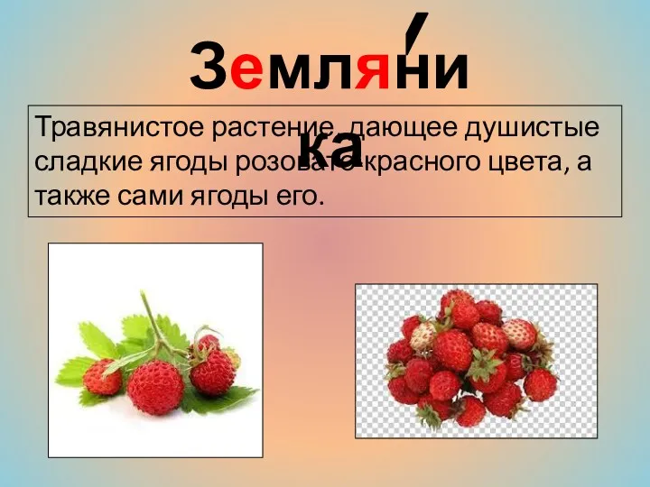 Травянистое растение, дающее душистые сладкие ягоды розовато-красного цвета, а также сами ягоды его. Земляника