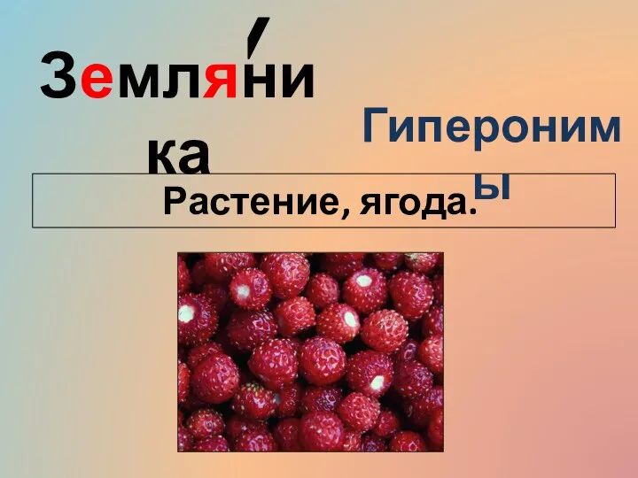 Земляника Гиперонимы Растение, ягода.