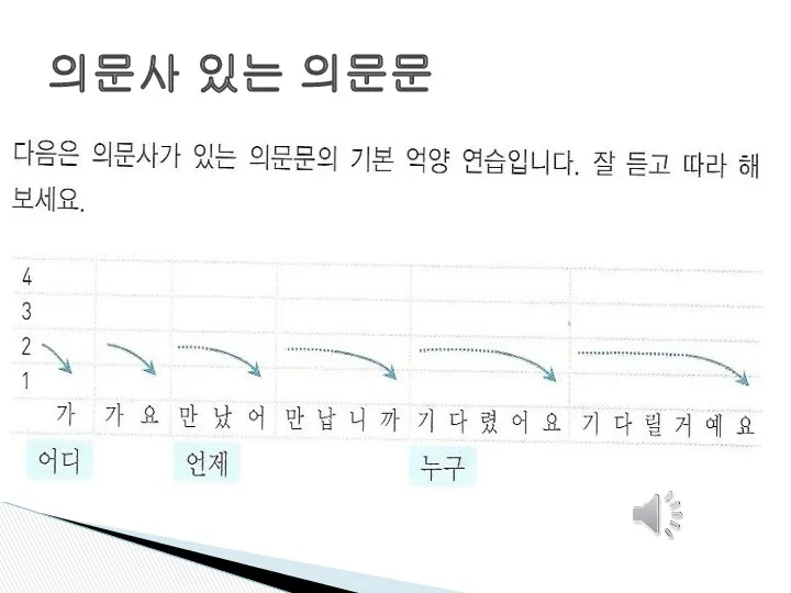 의문사 있는 의문문