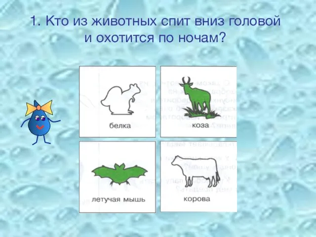 1. Кто из животных спит вниз головой и охотится по ночам?