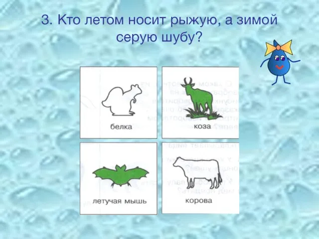 3. Кто летом носит рыжую, а зимой серую шубу?