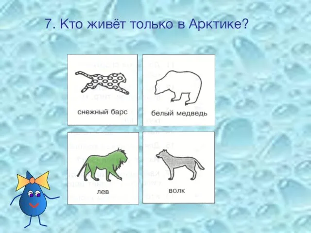 7. Кто живёт только в Арктике?