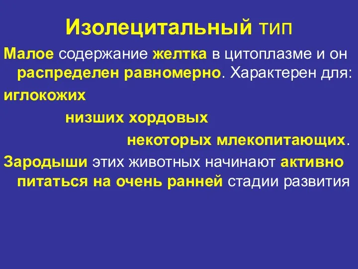 Изолецитальный тип Малое содержание желтка в цитоплазме и он распределен