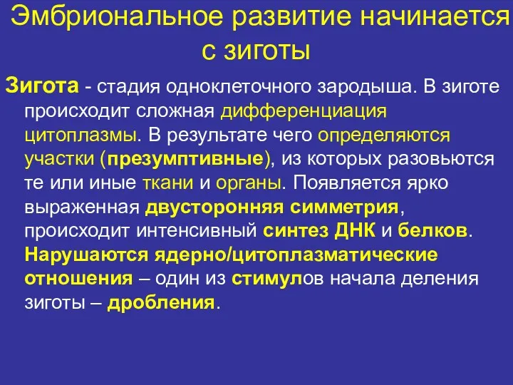 Эмбриональное развитие начинается с зиготы Зигота - стадия одноклеточного зародыша.