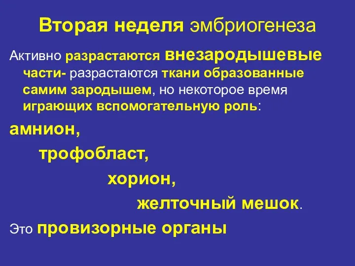 Вторая неделя эмбриогенеза Активно разрастаются внезародышевые части- разрастаются ткани образованные