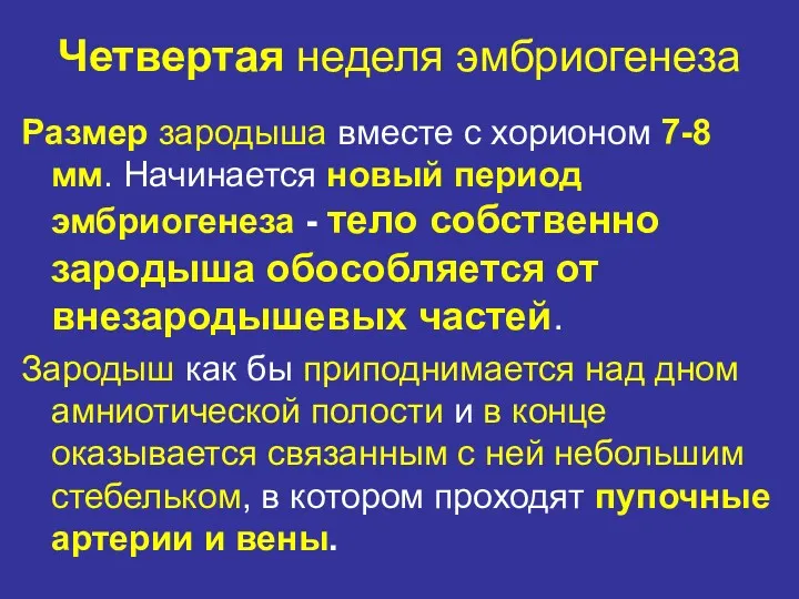 Четвертая неделя эмбриогенеза Размер зародыша вместе с хорионом 7-8 мм.