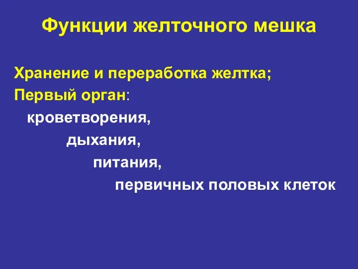 Функции желточного мешка Хранение и переработка желтка; Первый орган: кроветворения, дыхания, питания, первичных половых клеток