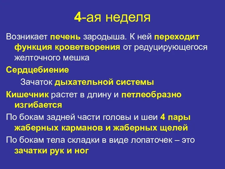 4-ая неделя Возникает печень зародыша. К ней переходит функция кроветворения