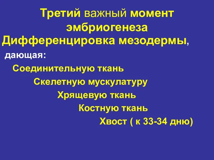 Третий важный момент эмбриогенеза Дифференцировка мезодермы, дающая: Соединительную ткань Скелетную