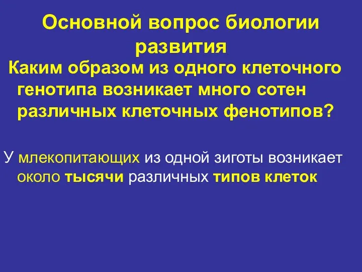 Основной вопрос биологии развития Каким образом из одного клеточного генотипа