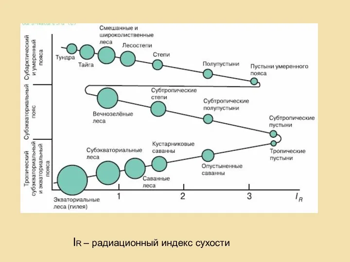 IR – радиационный индекс сухости