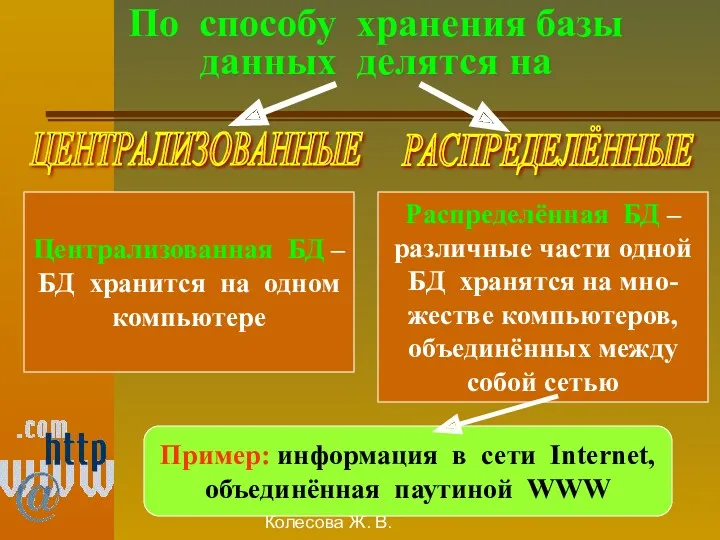 Колесова Ж. В. По способу хранения базы данных делятся на