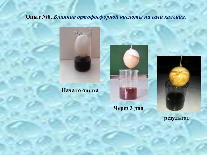 Опыт №8. Влияние ортофосфорной кислоты на соли кальция.