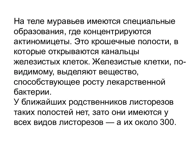 На теле муравьев имеются специальные образования, где концентрируются актиномицеты. Это