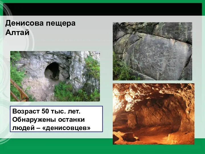 Денисова пещера Алтай Возраст 50 тыс. лет. Обнаружены останки людей – «денисовцев»
