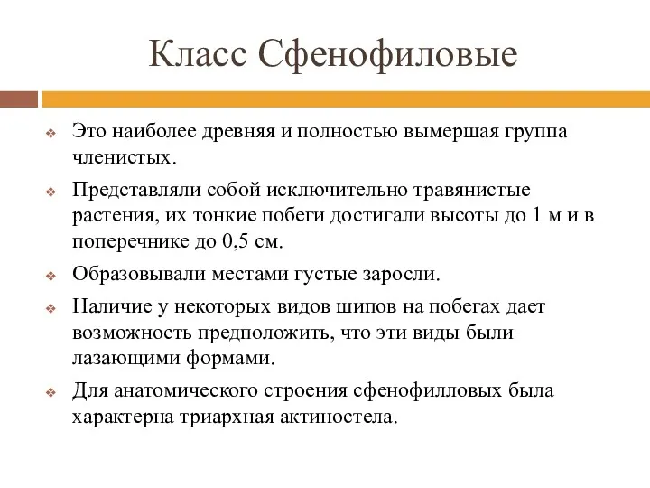 Класс Сфенофиловые Это наиболее древняя и полностью вымершая группа членистых.