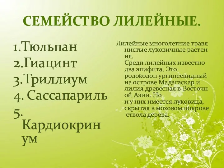 СЕМЕЙСТВО ЛИЛЕЙНЫЕ. 1.Тюльпан 2.Гиацинт 3.Триллиум 4. Сассапариль 5. Кардиокринум Лилейные