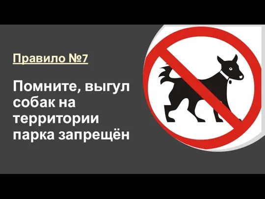 Правило №7 Помните, выгул собак на территории парка запрещён