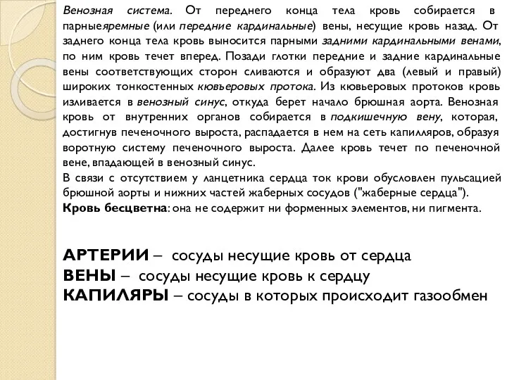 Венозная система. От переднего конца тела кровь собирается в парныеяремные