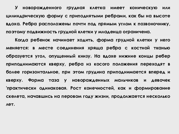 У новорожденного грудная клетка имеет коническую или цилиндрическую форму с