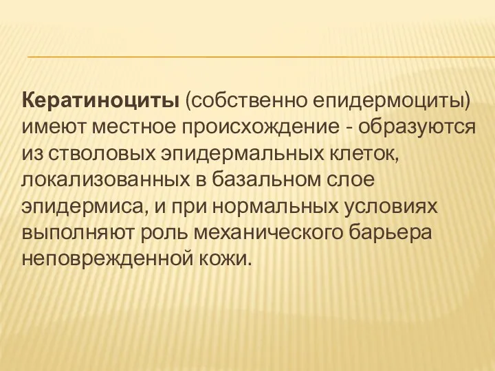 Кератиноциты (собственно епидермоциты) имеют местное происхождение - образуются из стволовых