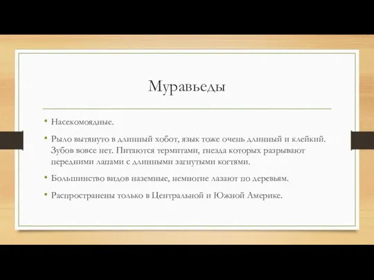 Муравьеды Насекомоядные. Рыло вытянуто в длинный хобот, язык тоже очень