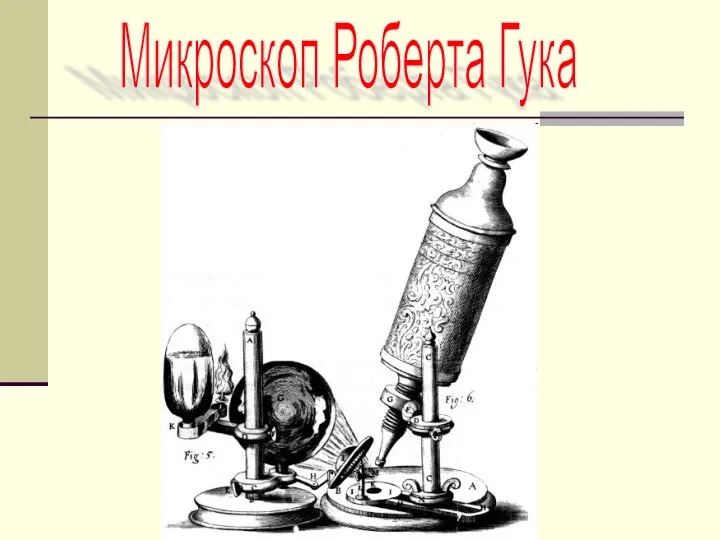 Микроскоп Роберта Гука