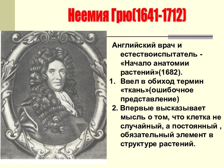 Неемия Грю(1641-1712) Английский врач и естествоиспытатель - «Начало анатомии растений»(1682).