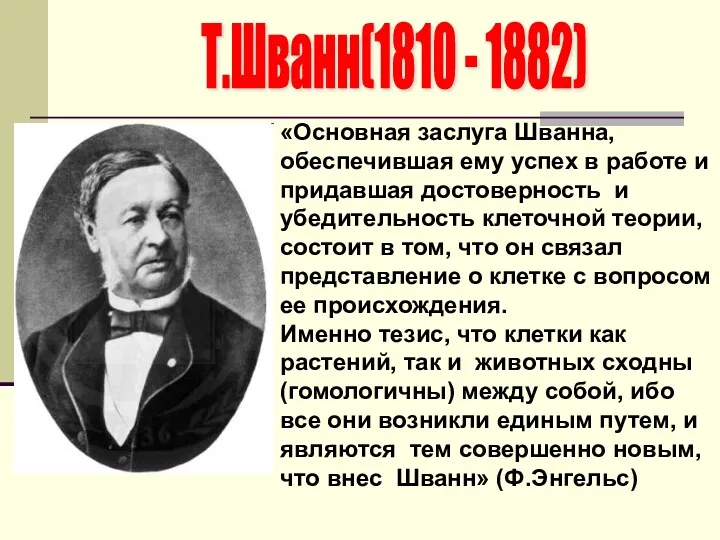 Т.Шванн(1810 - 1882) «Основная заслуга Шванна, обеспечившая ему успех в