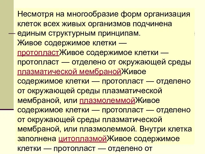 Несмотря на многообразие форм организация клеток всех живых организмов подчинена