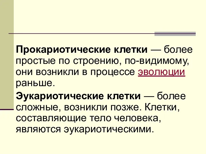 Прокариотические клетки — более простые по строению, по-видимому, они возникли