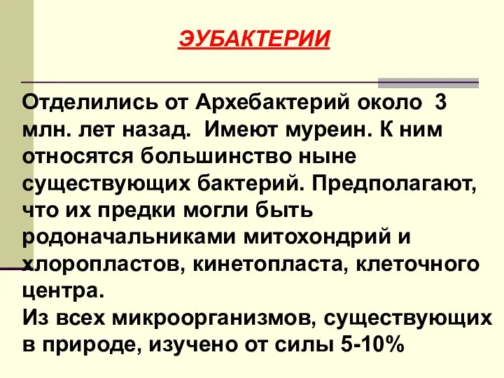 Отделились от Архебактерий около 3 млн. лет назад. Имеют муреин.