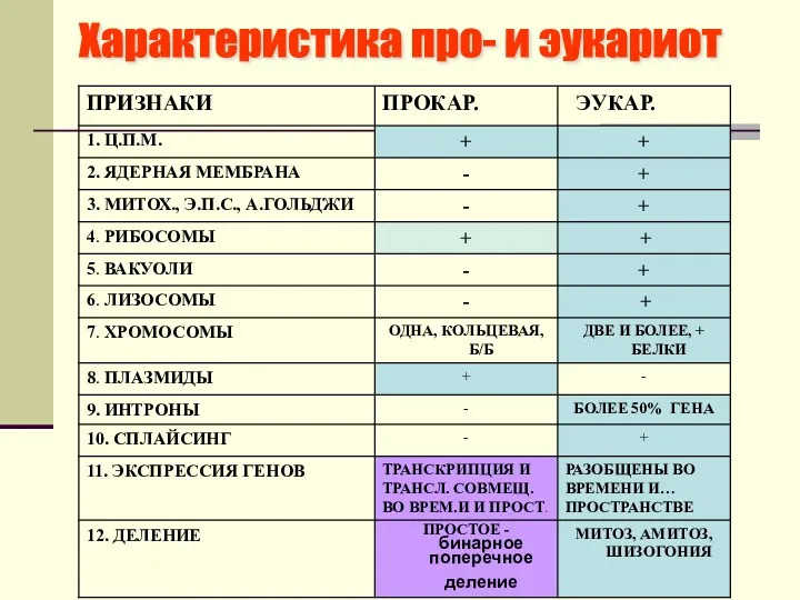 Характеристика про- и эукариот