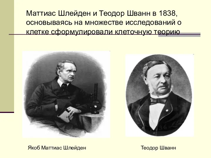 Маттиас Шлейден и Теодор Шванн в 1838, основываясь на множестве