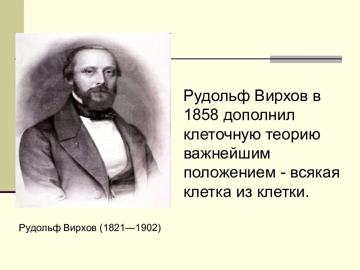 Рудольф Вирхов (1821—1902) Рудольф Вирхов в 1858 дополнил клеточную теорию