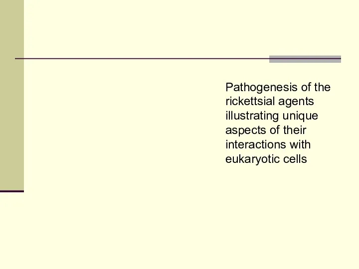 Pathogenesis of the rickettsial agents illustrating unique aspects of their interactions with eukaryotic cells