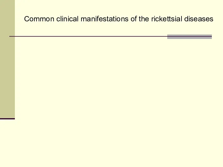 Common clinical manifestations of the rickettsial diseases